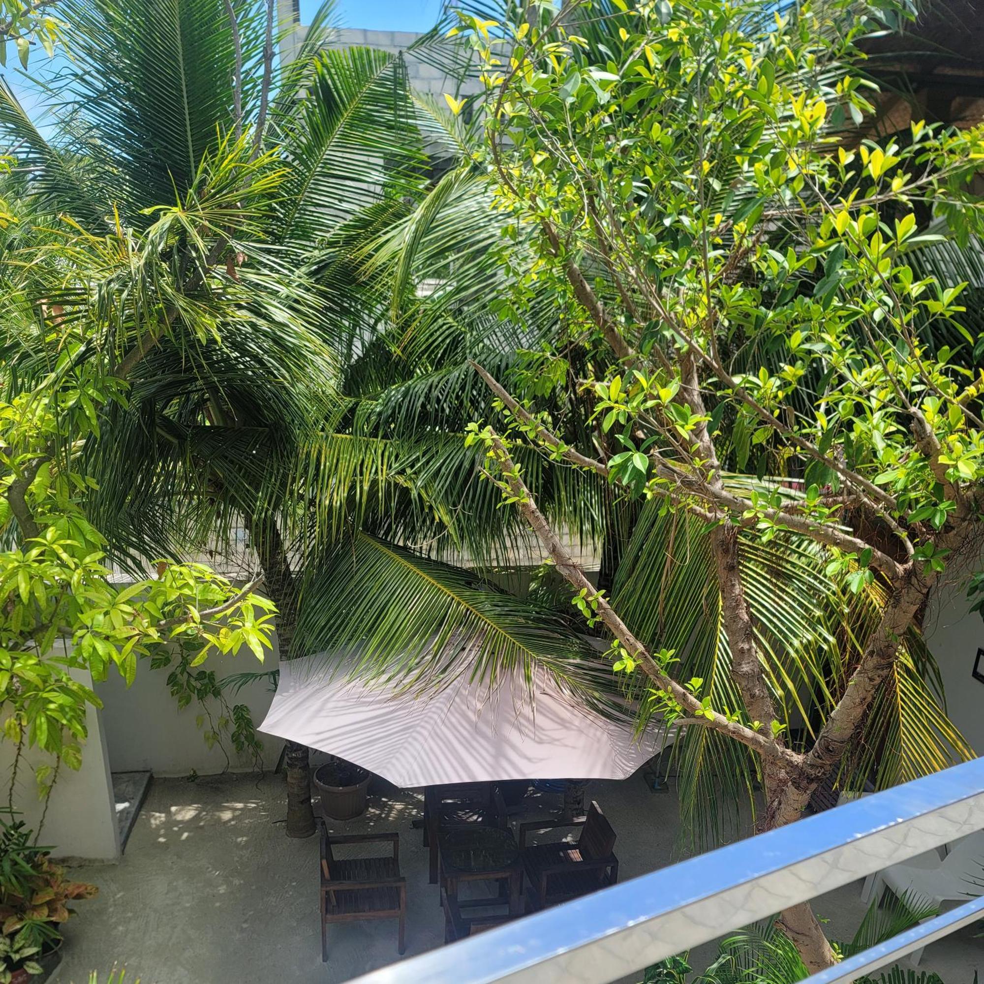 Palm Residence Rasdhoo Pokoj fotografie